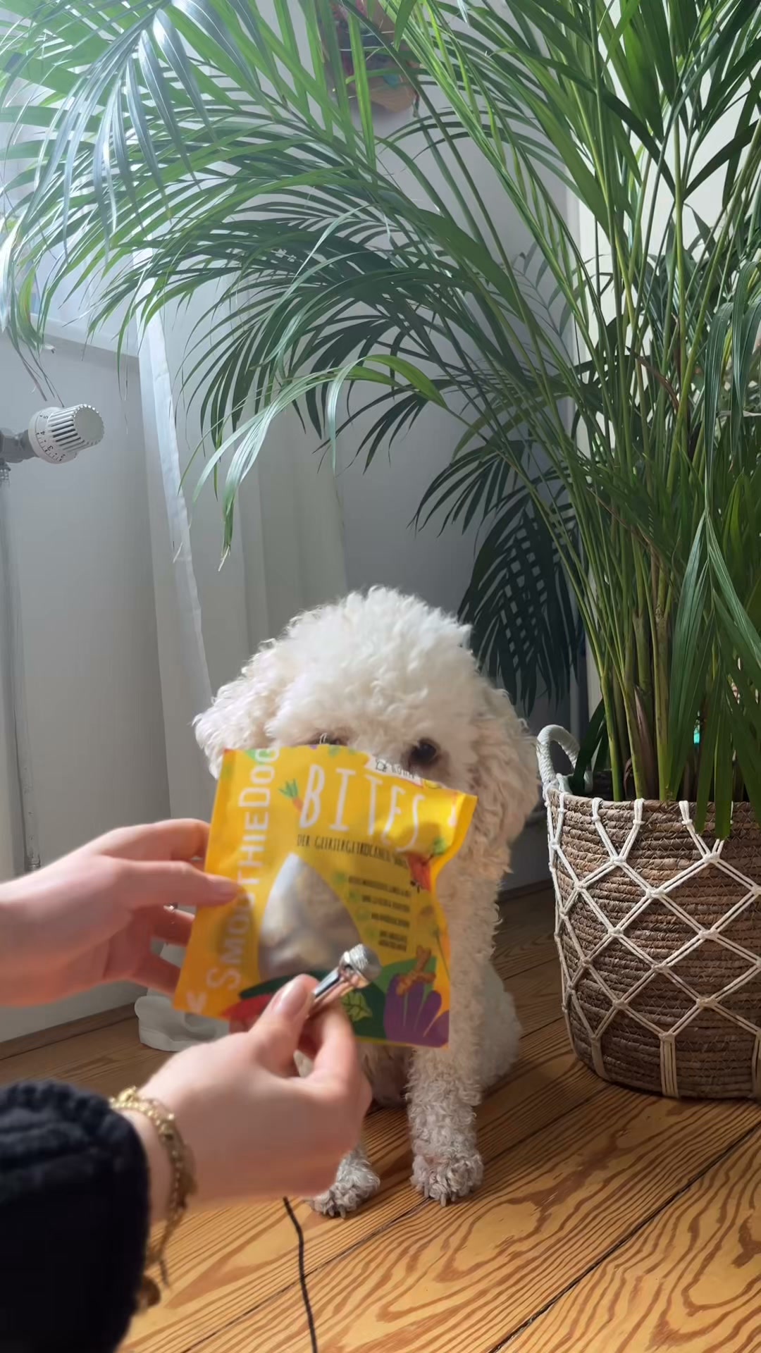 SmoothieDog Facebook ad: Premium-Snacks für Hunde