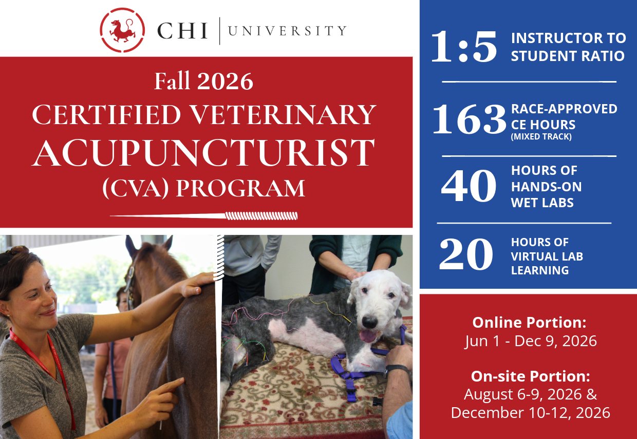 Chi University Facebook ad