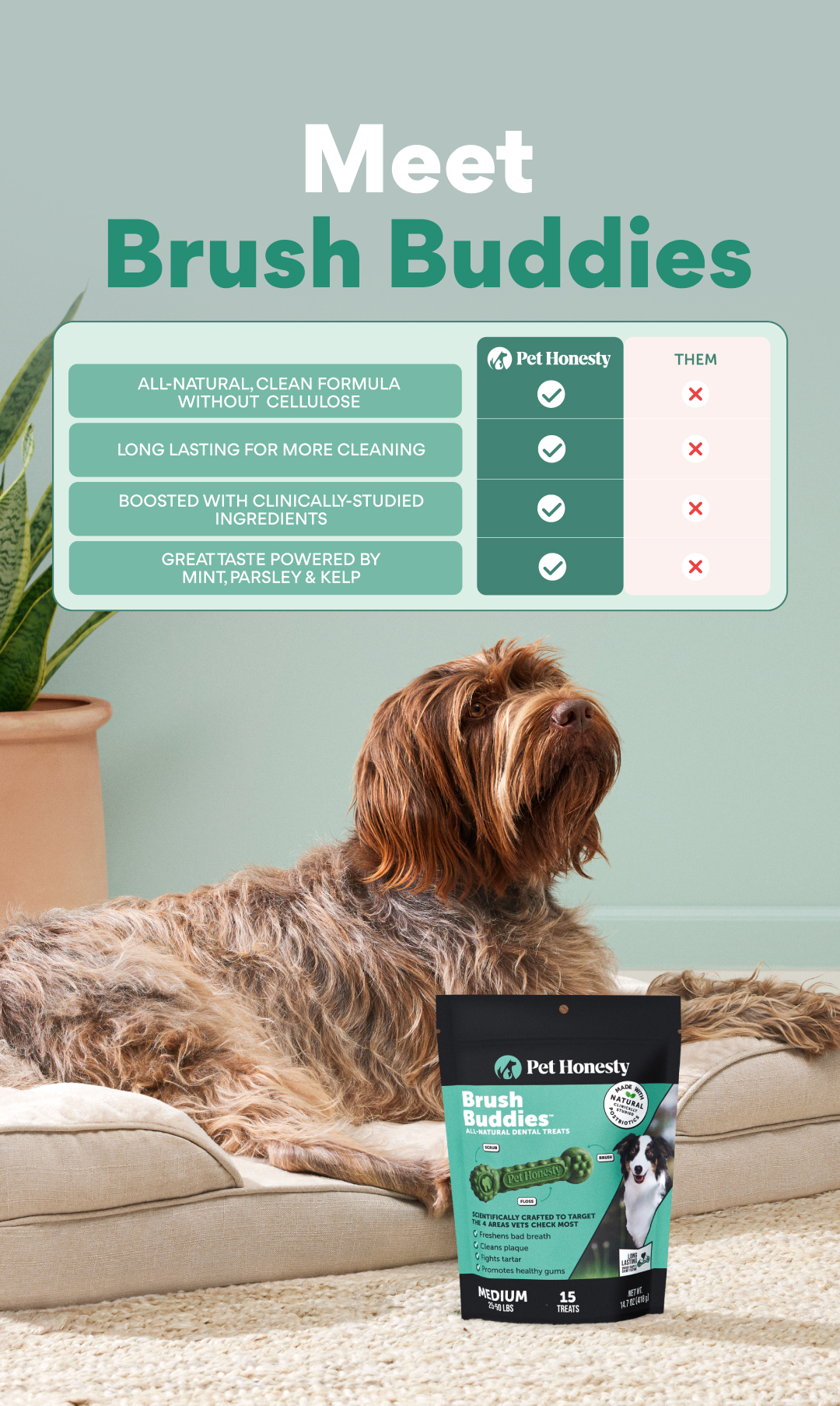 Pet Honesty Facebook ad