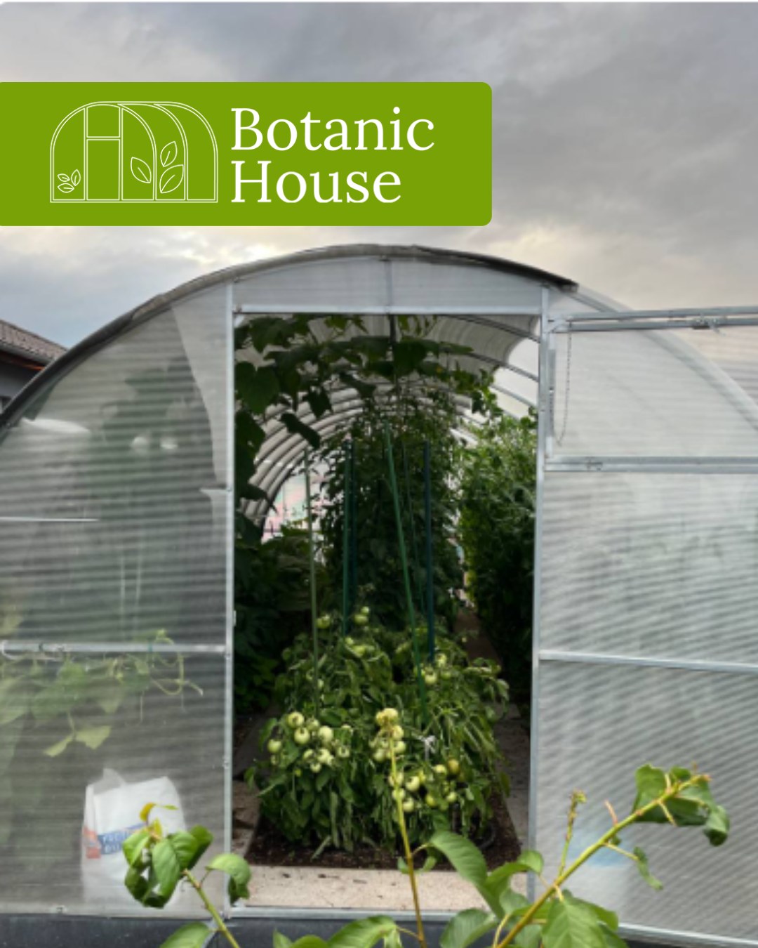 BotanicHouse Facebook ad: Online-Shop für Gewächshäuser - BotanicHouse
