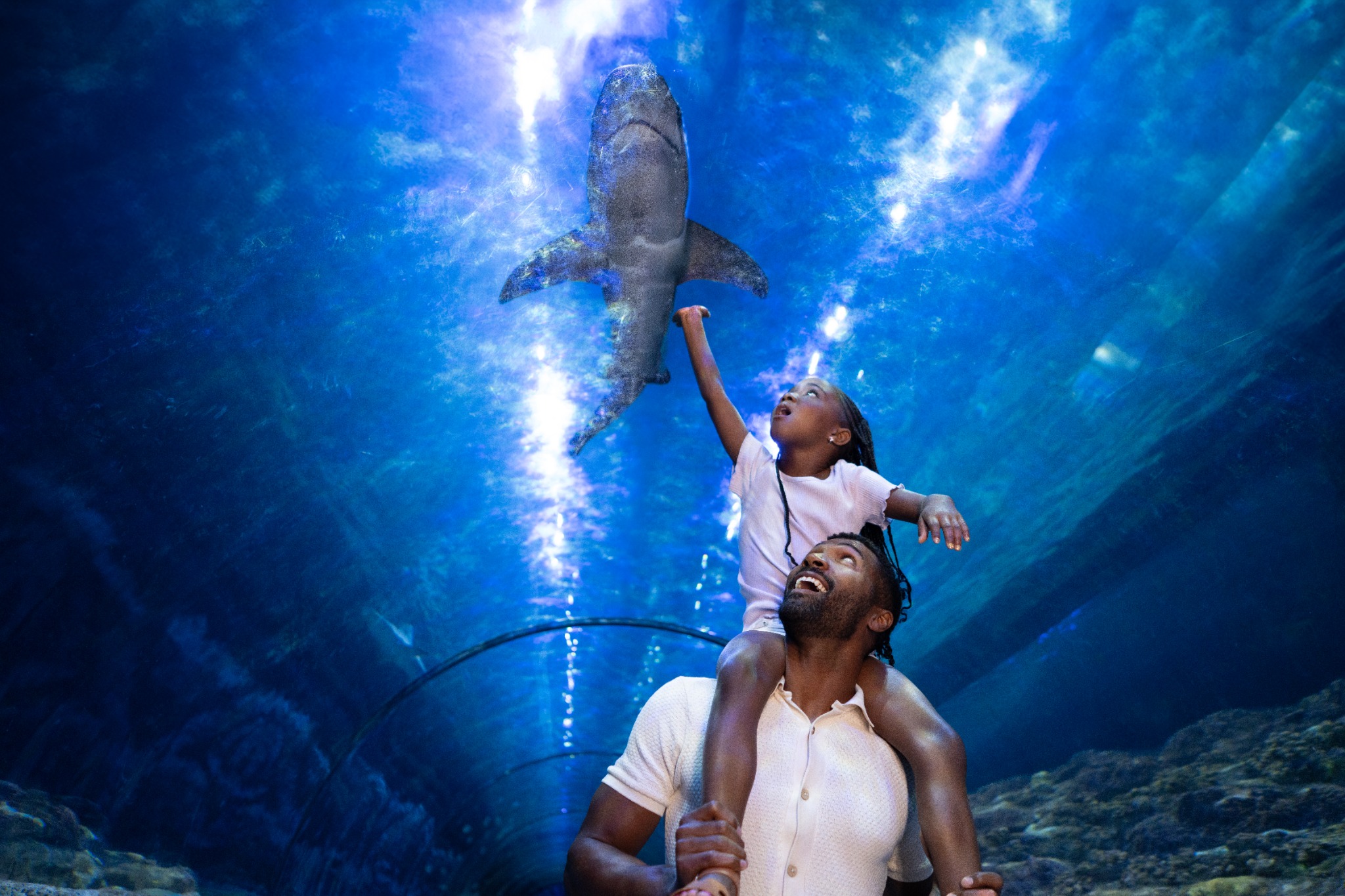 SeaWorld Orlando Facebook ad from Jun 3, 2026