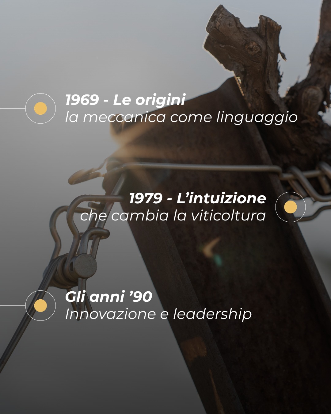 Vignetinox Facebook ad: Ogni innovazione nasce da un’idea, ma cresce solo…