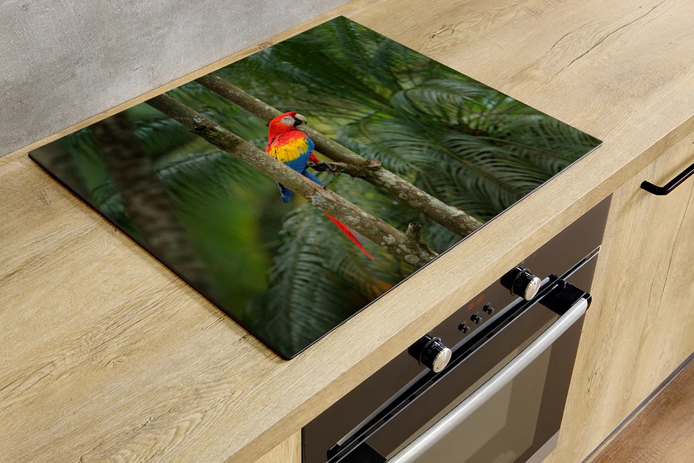 Inductiebeschermenshop.nl Facebook ad: ๐๐ป๐ฑ๐๐ฐ๐๐ถ๐ฒ ๐ฏ๐ฒ๐๐ฐ๐ต๐ฒ๐ฟ๐บ๐ถ๐ป๐ด ๐๐ผ๐ฎ๐น๐โฆ