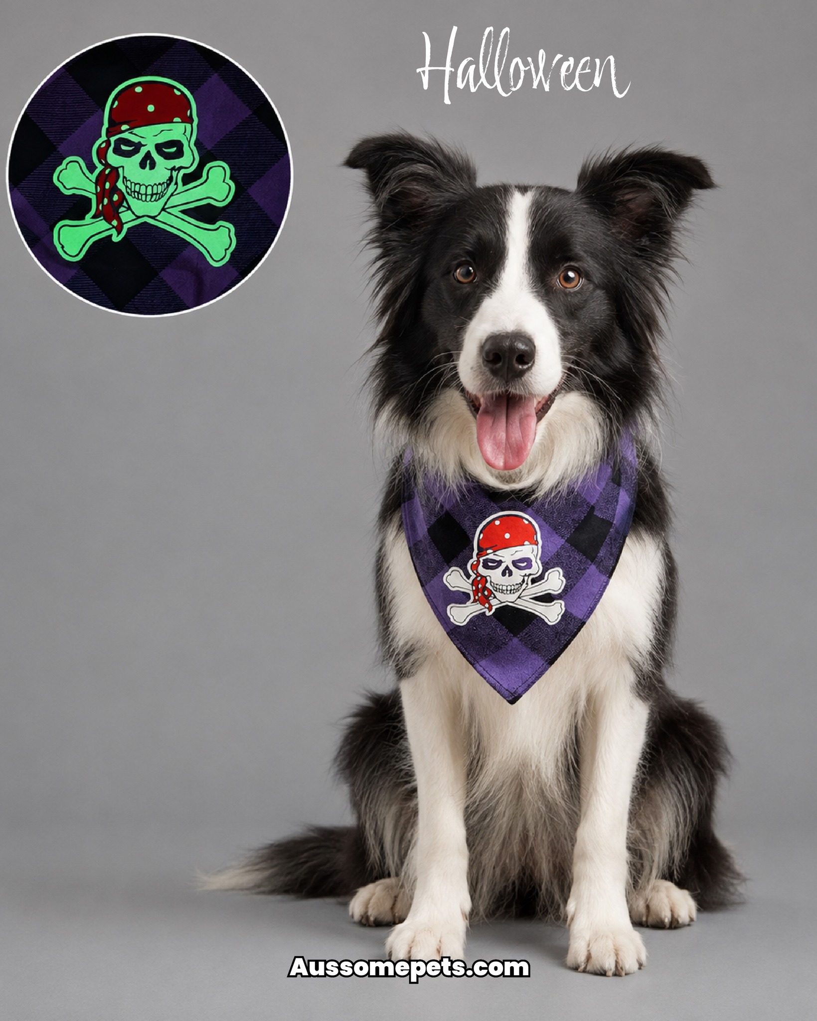 AussomePets Facebook ad: Aussomepets | Dog Toys, Collars, Clothing & More