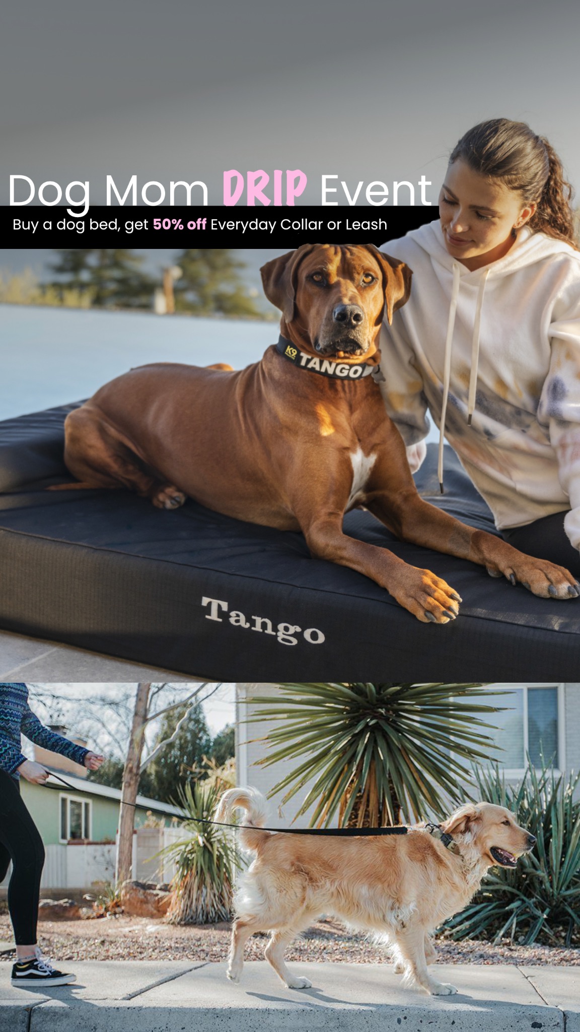K9 Ballistics Dog Beds Facebook ad