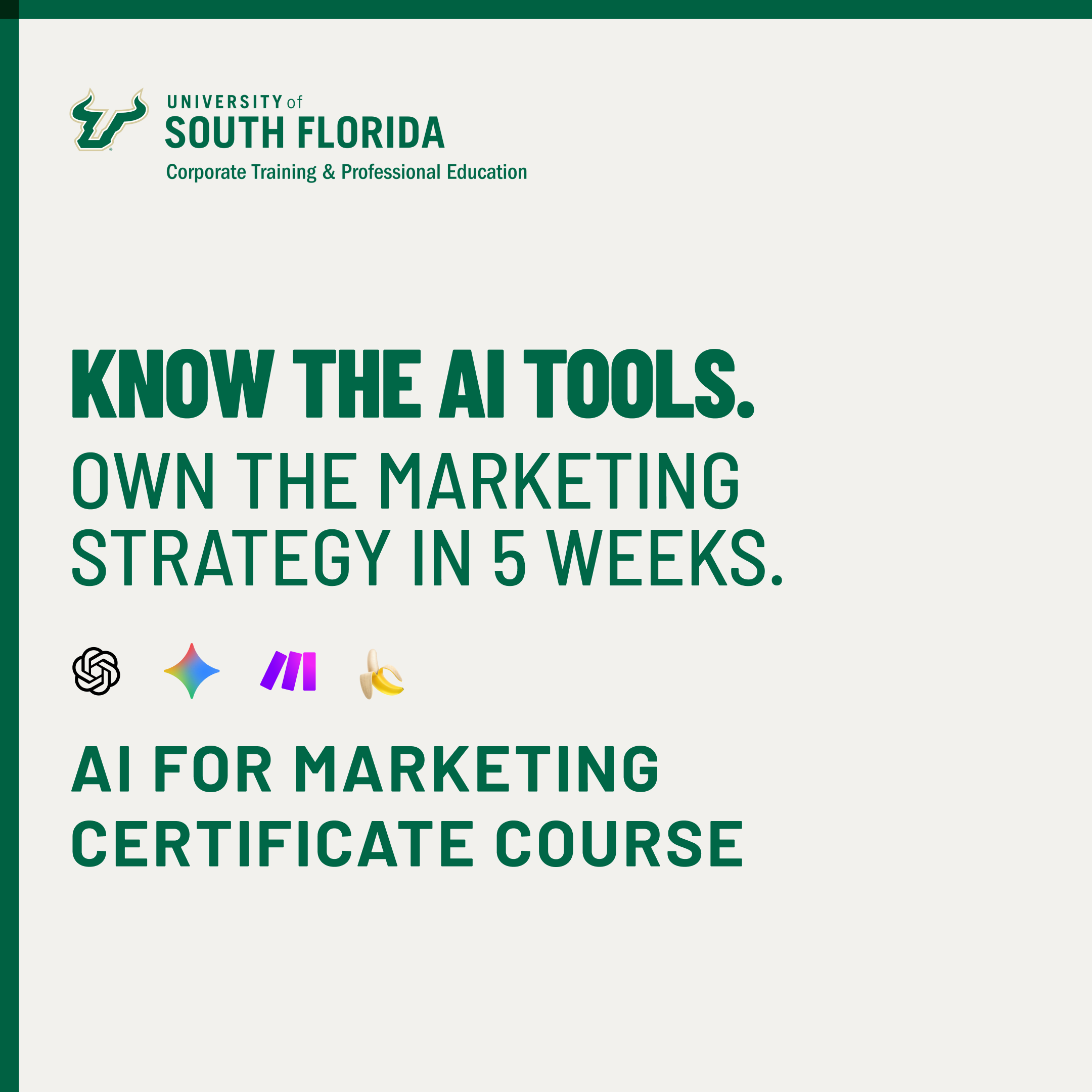 USF Corporate Training and Professional Education Online Certificates Facebook ad