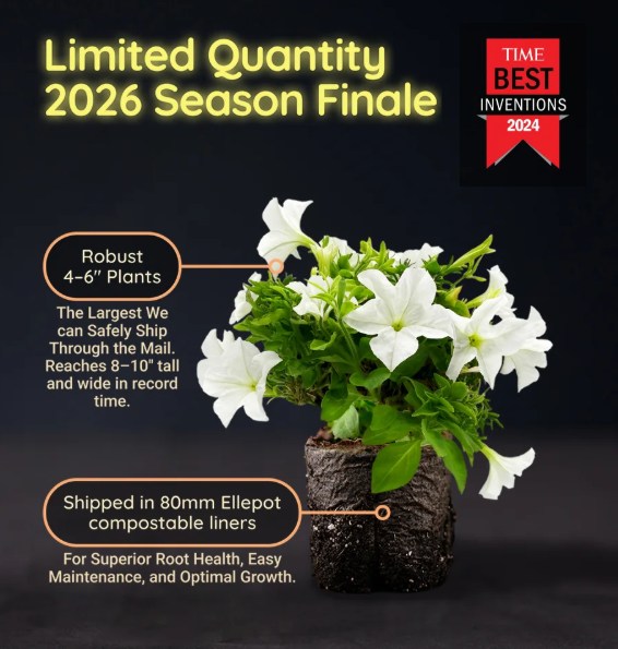 Light Bio Facebook ad: Glowing Plants by Light Bio