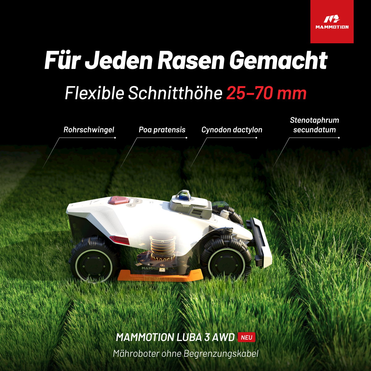 Mammotion Facebook ad