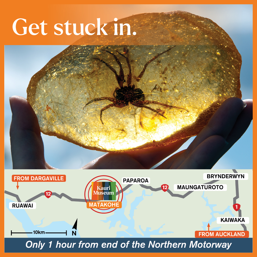 The Kauri Museum Facebook ad: Get stuck in. Linger longer. Dig deeper here.