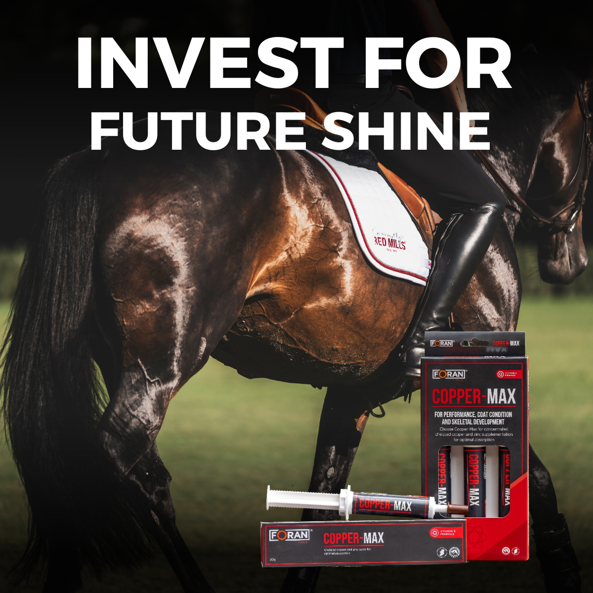 Foran Equine Facebook ad