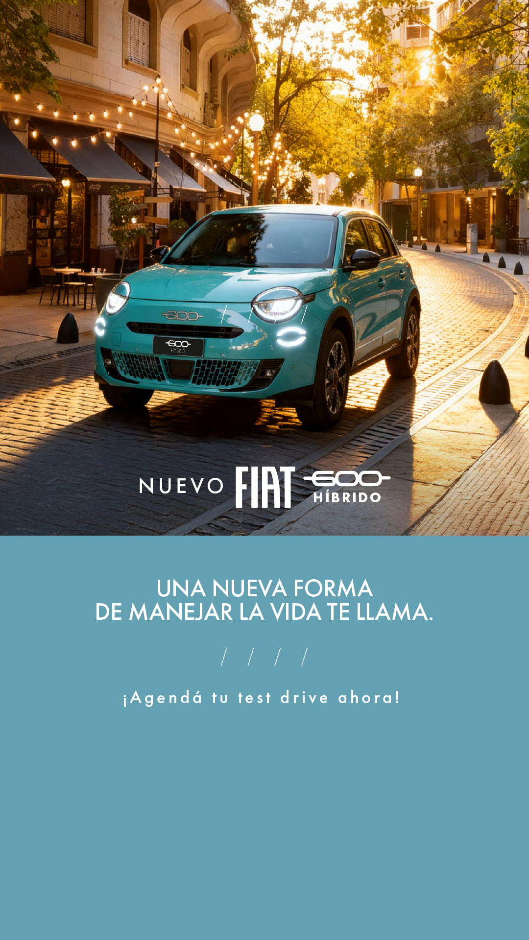 Fiat Argentina Facebook ad