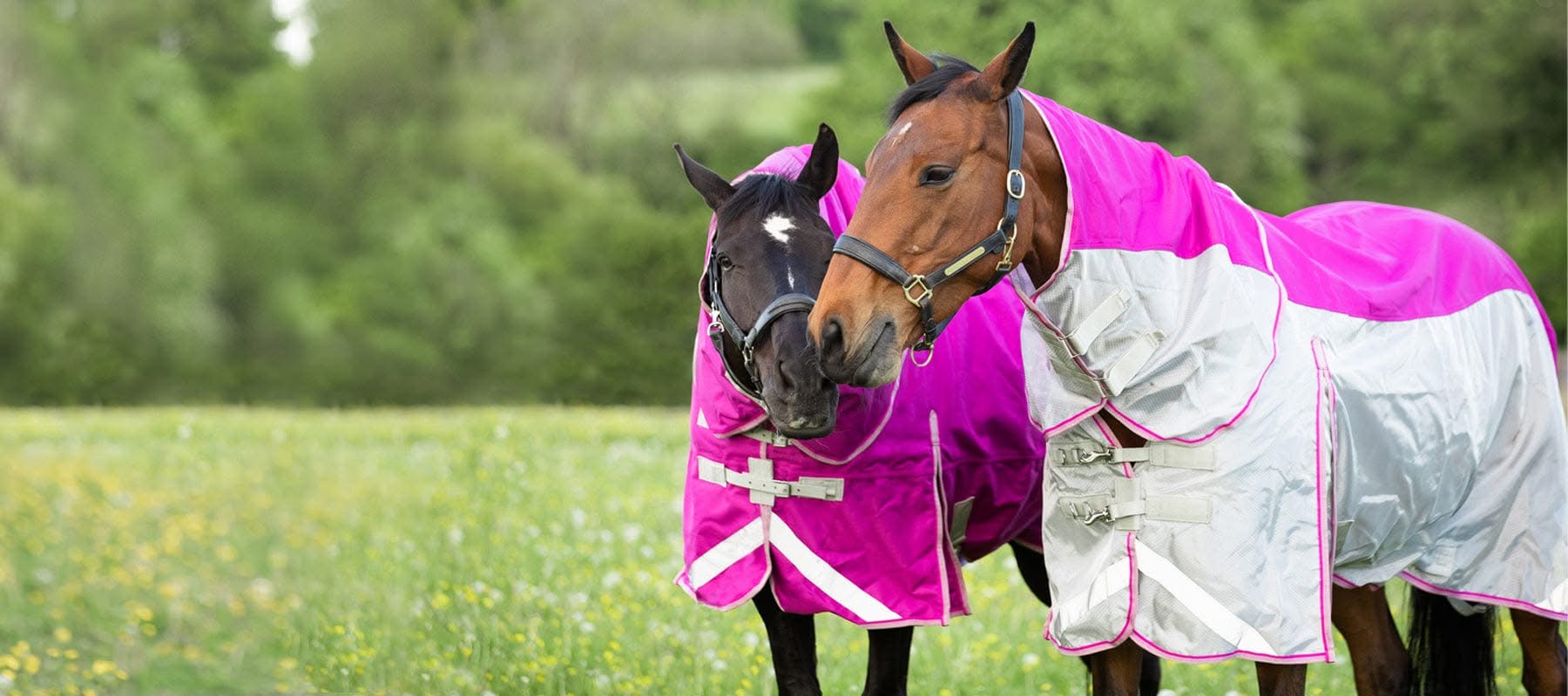 Swish Horse Rugs Facebook ad: Award Winning Horse Rugs