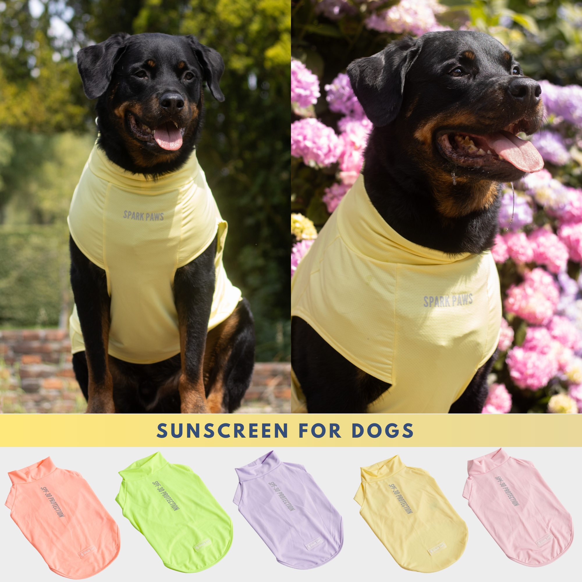 Spark Paws Facebook ad