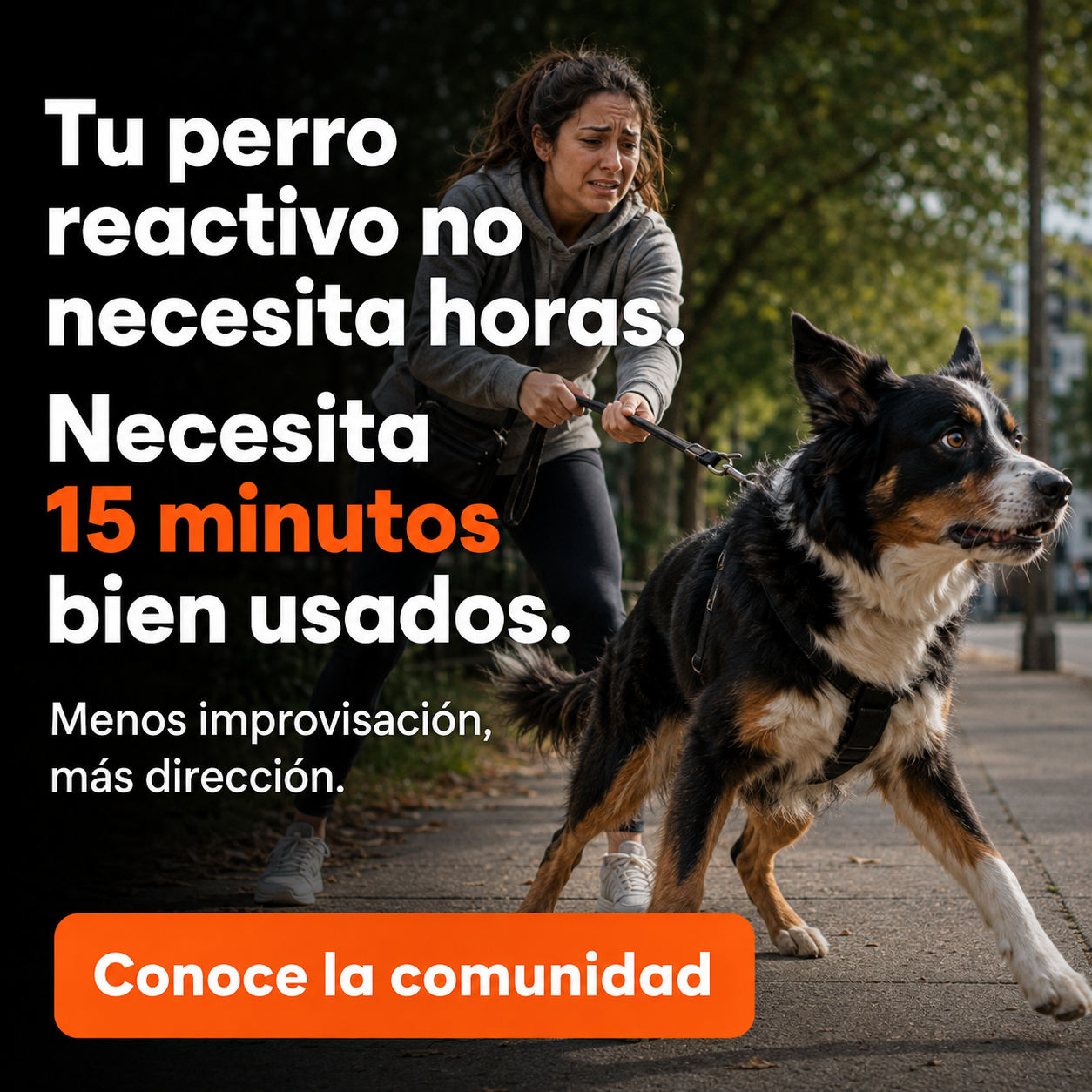 El Profesor Canino Facebook ad
