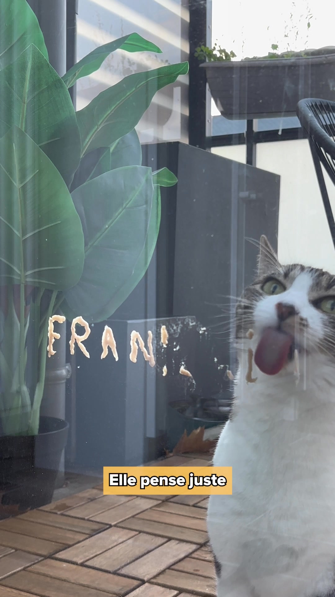 Franklin Pet Food Facebook ad: Nouvelle gamme de friandises!