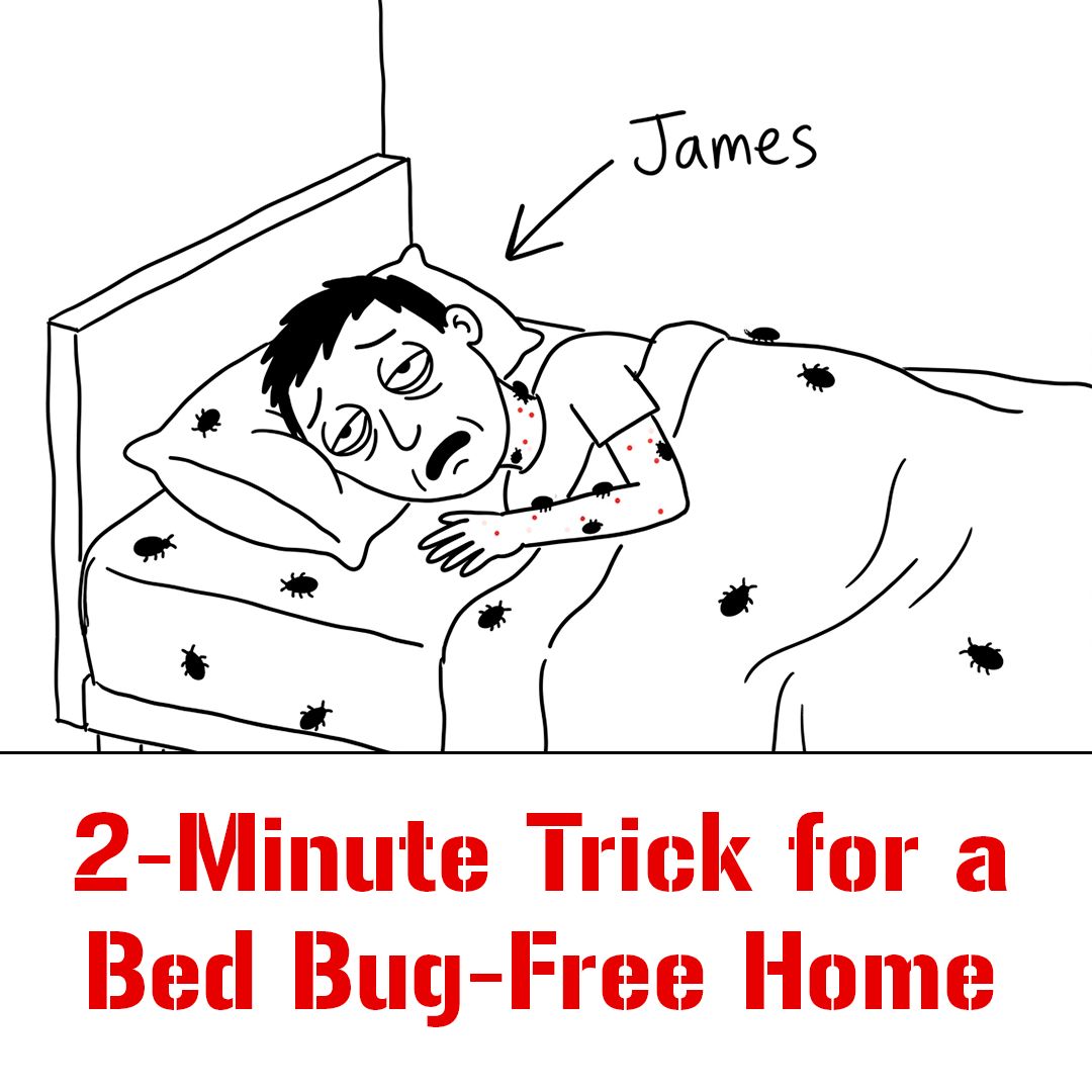 Ultimate Bed Bug Solution Facebook ad
