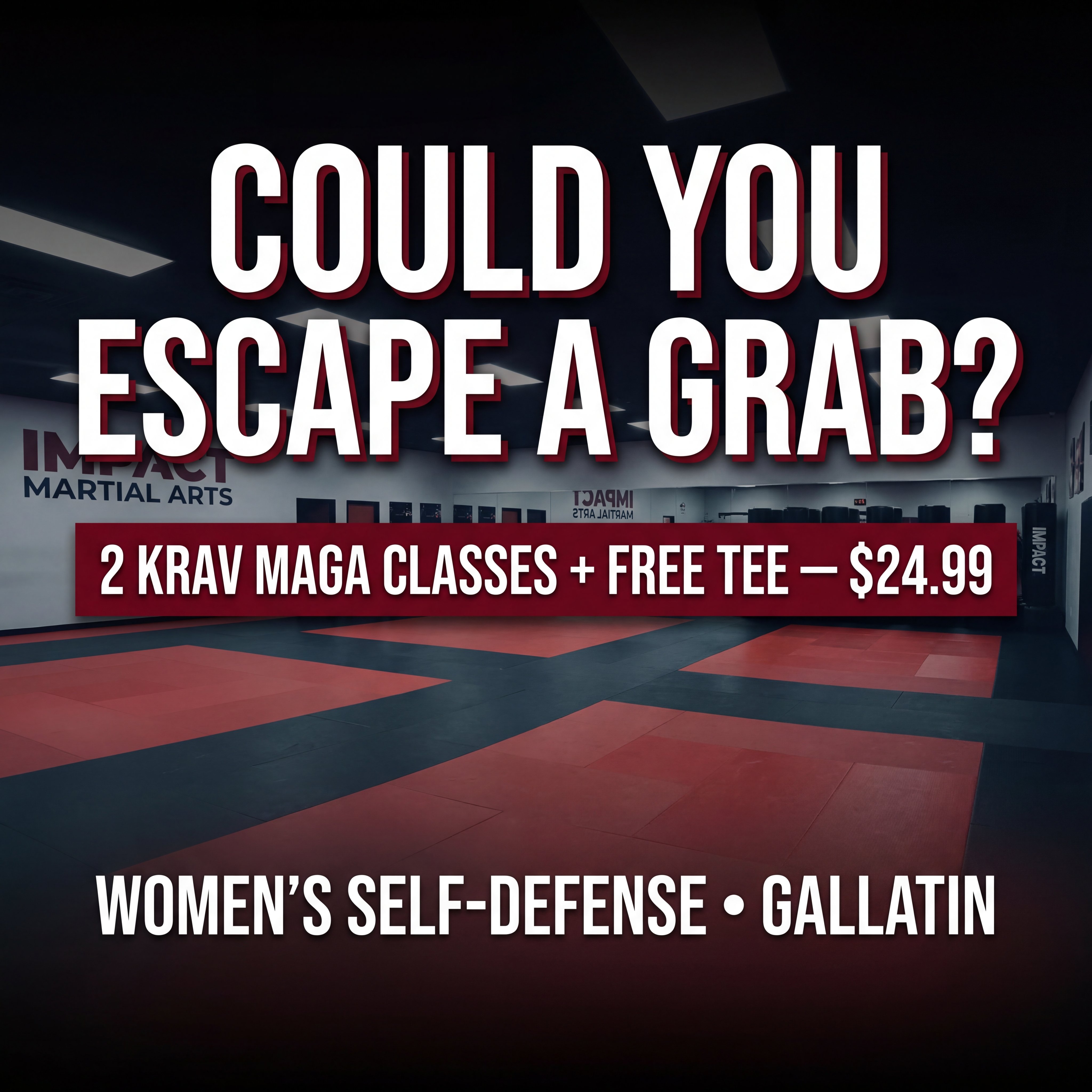 Impact Martial Arts Gallatin Facebook ad