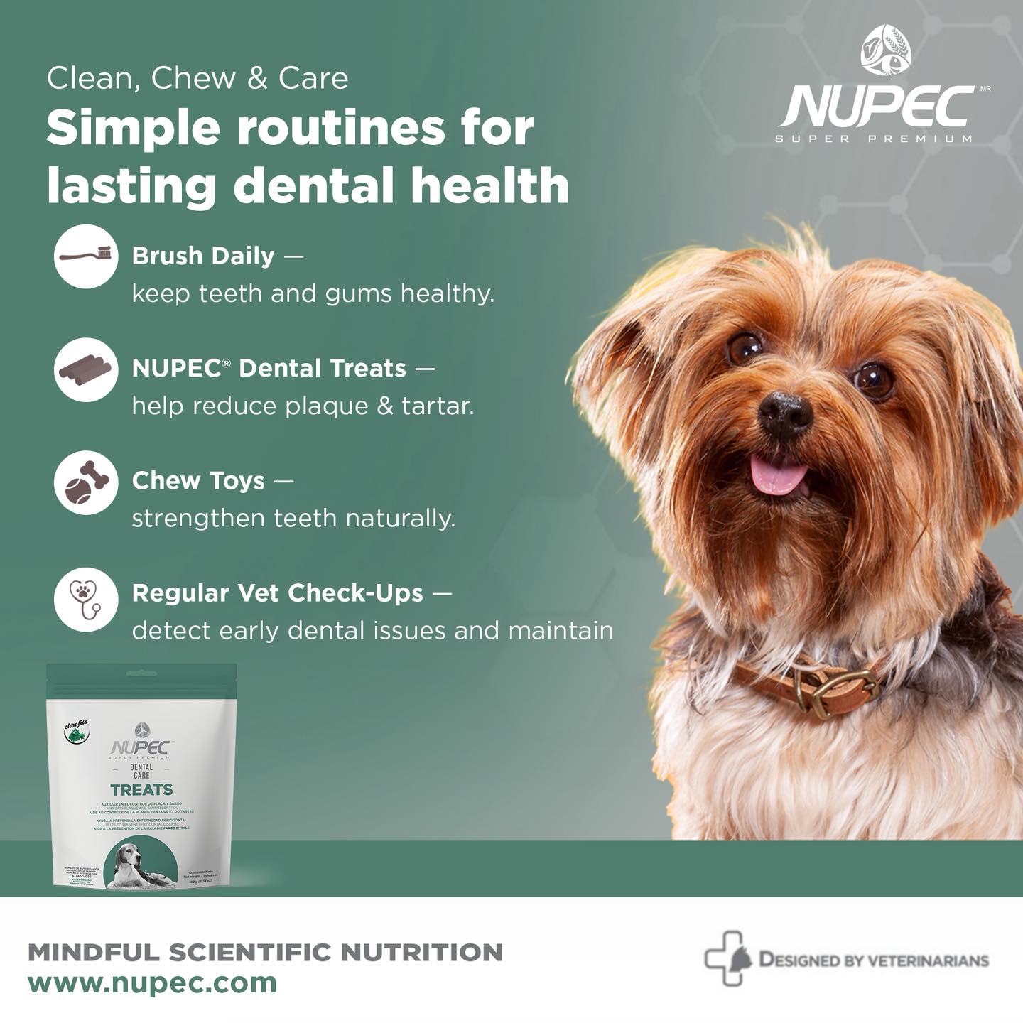 NUPEC Philippines Facebook ad: Let me explain something… nutrition matters.