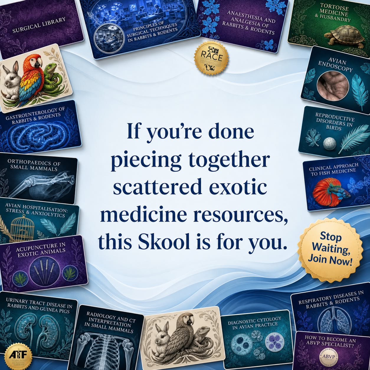Skool Facebook ad: Strengthen Your Exotic Medicine Skills