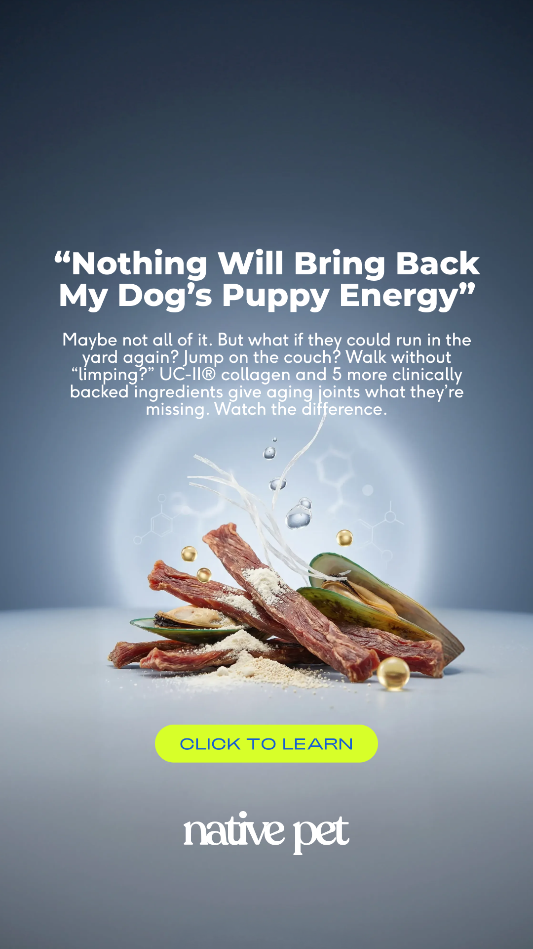 Native Pet Facebook ad