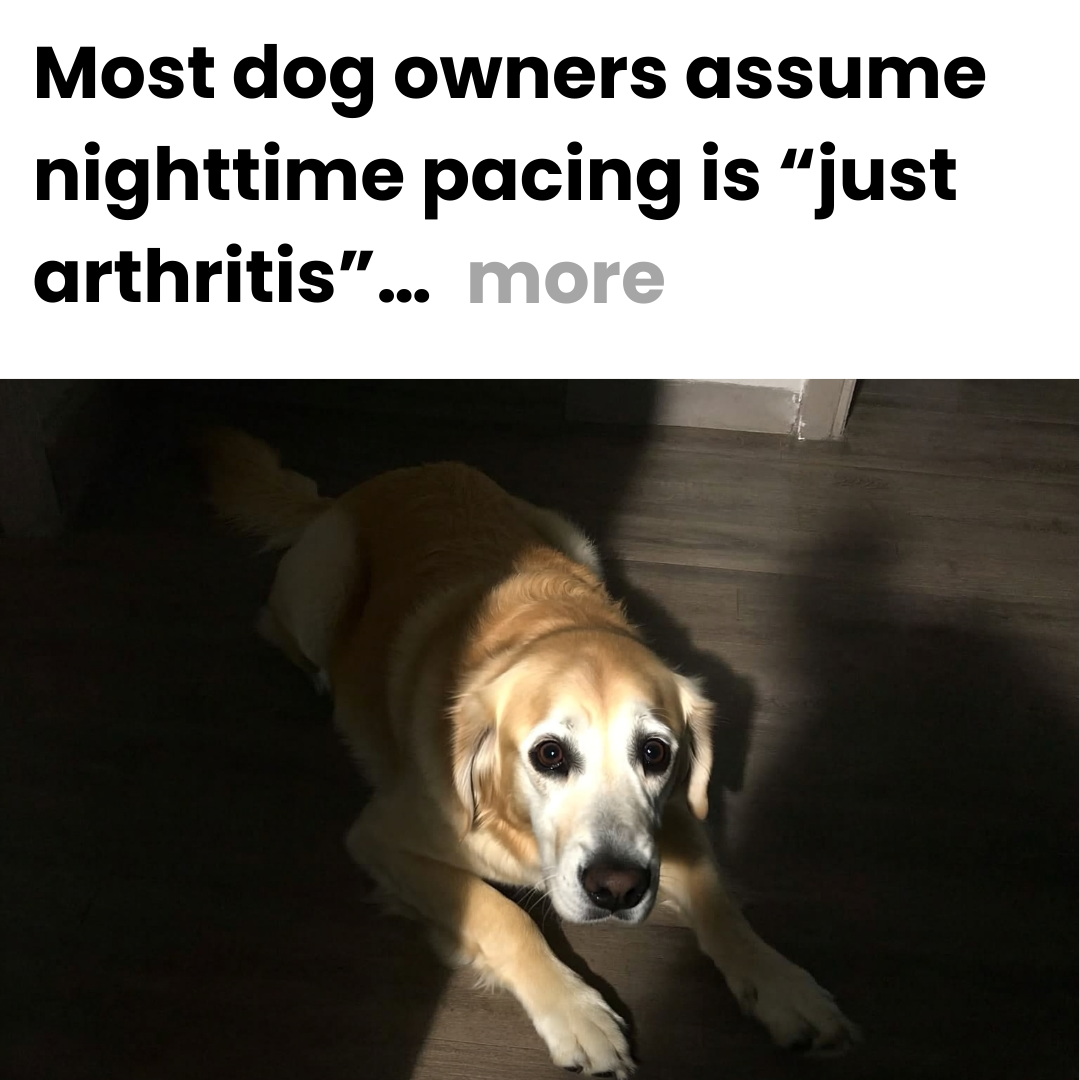 Dog Health Insider Facebook ad: Read This If Your Dog Has Joint Pain
