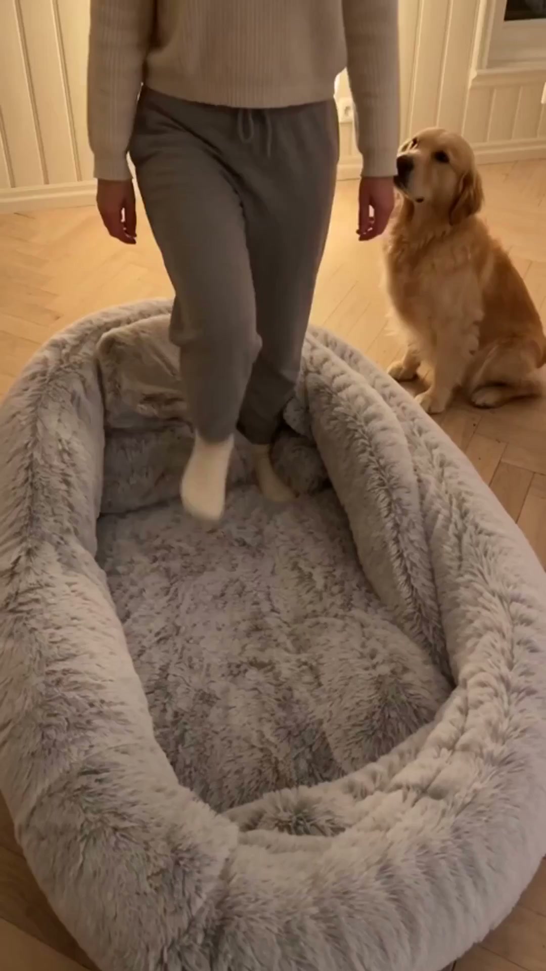 Petifo Facebook ad: 3 años con un perro