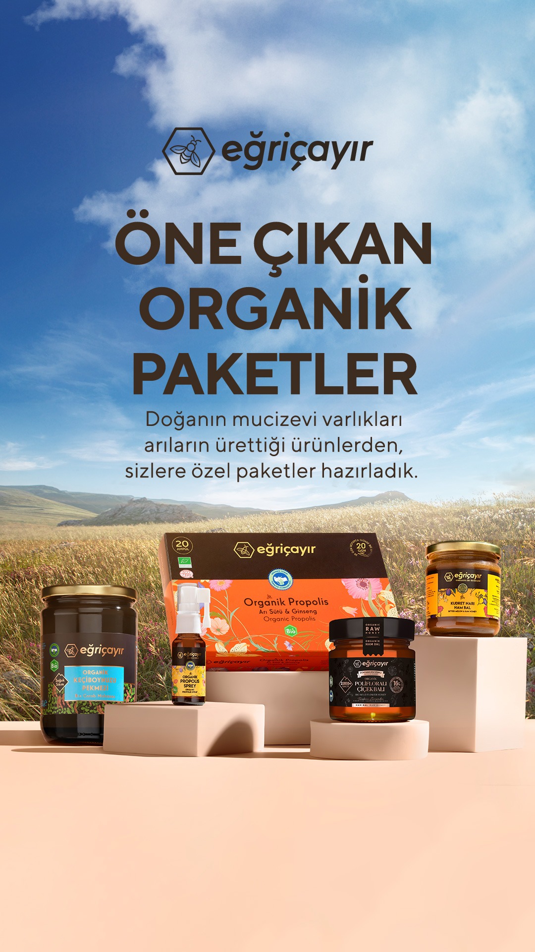 Eğriçayır Facebook ad: Organik Bal ve Arı Ürünleri | Eğriçayır