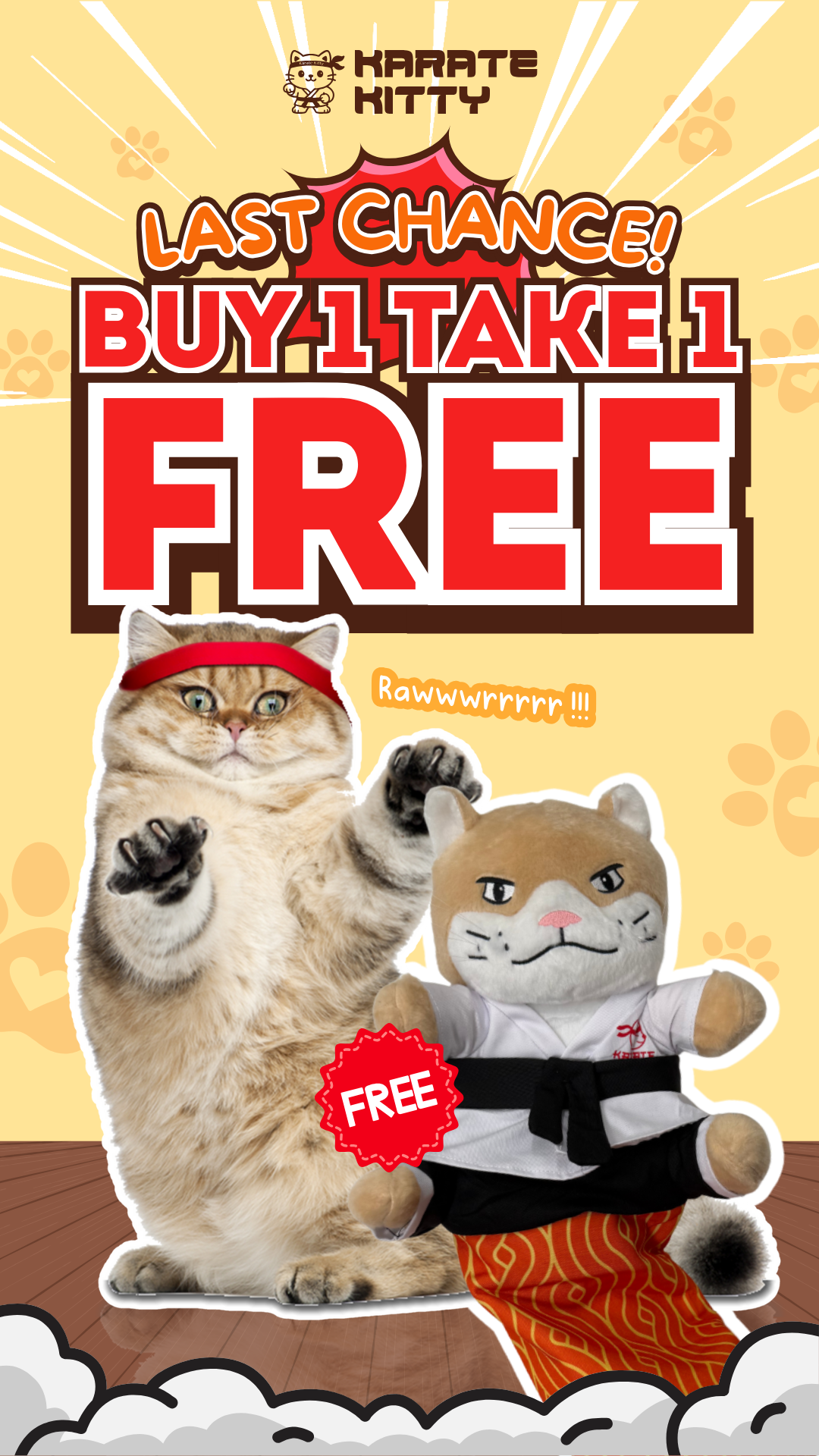 Karate Kitty Facebook ad