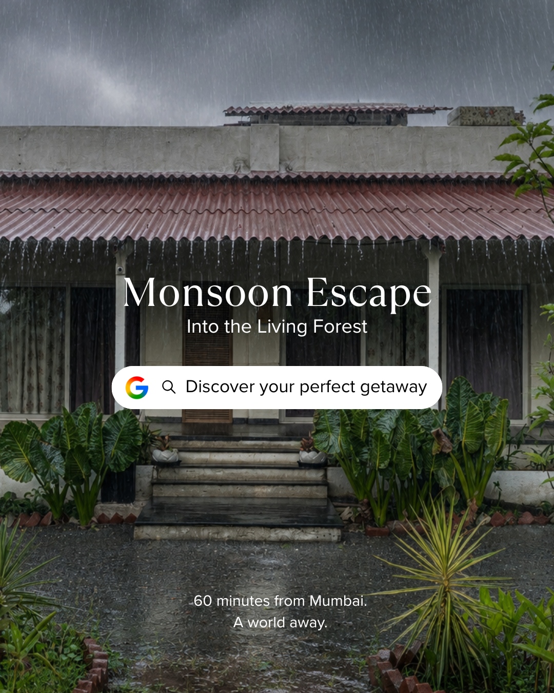 The Chlorophyll Estate Facebook ad: Looks like the rain already made your weekend…