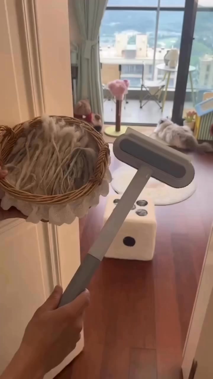 PetsPark.pk Facebook ad: Jumbo Pet Hair Remover