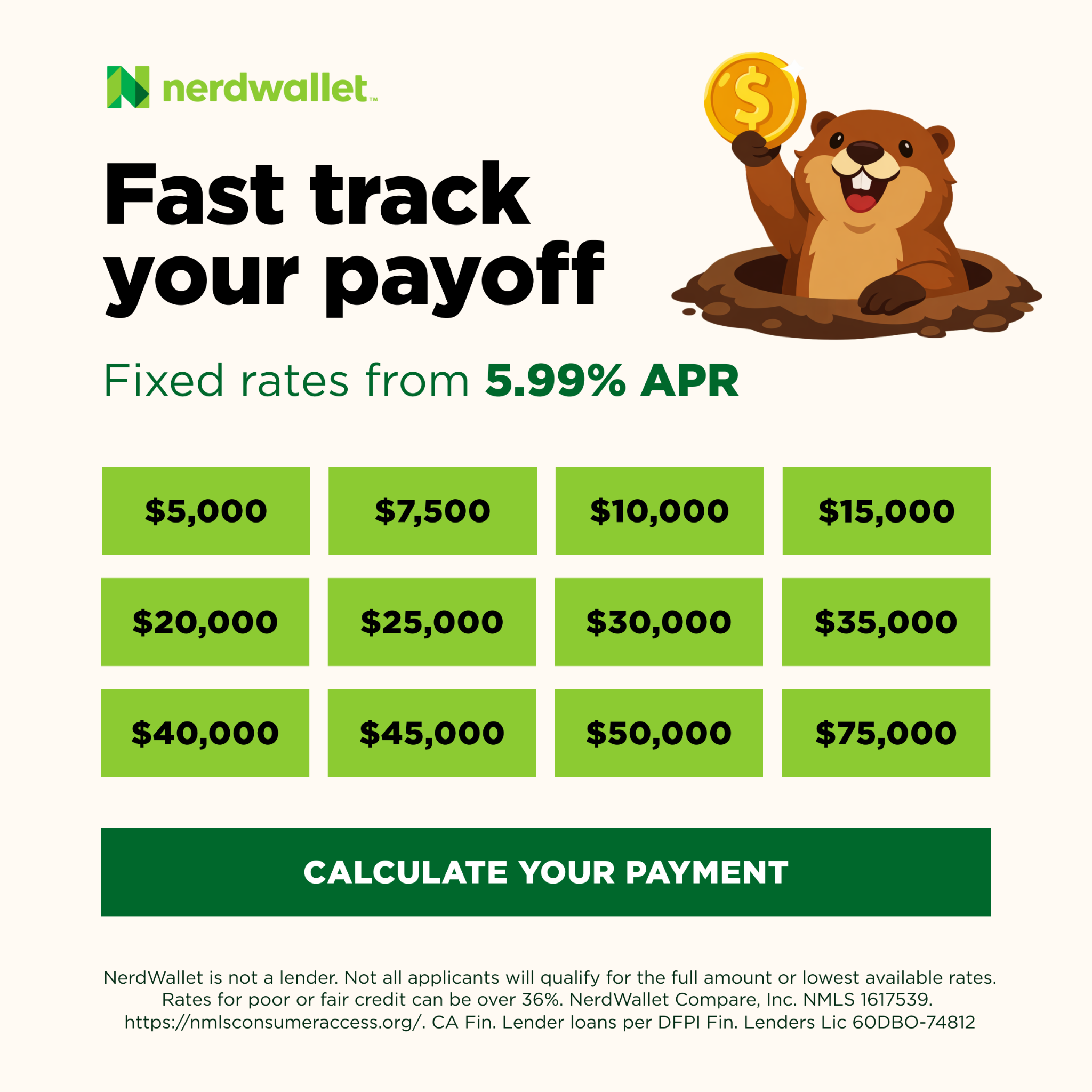 NerdWallet Facebook ad