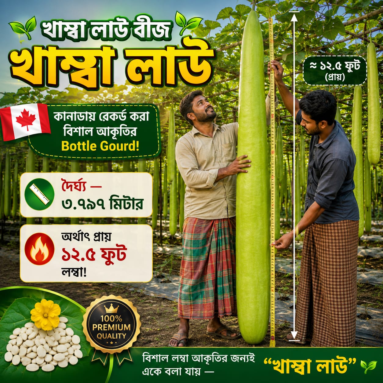 Seedo বীজেই ভবিষ্যৎ Facebook ad: খাম্বা লাউ বীজ, প্রায় ১২.৫ ফুট পর্যন্ত লম্বা হয়!