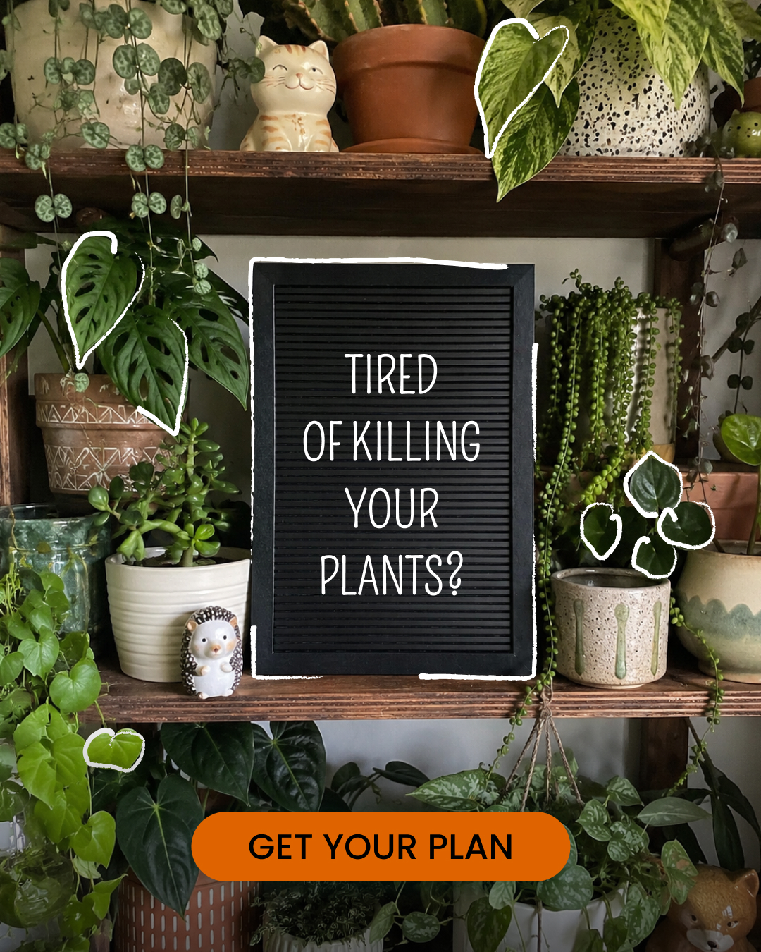 PlantIn AI: Never Kill Your Plants Facebook ad from Jun 5, 2026