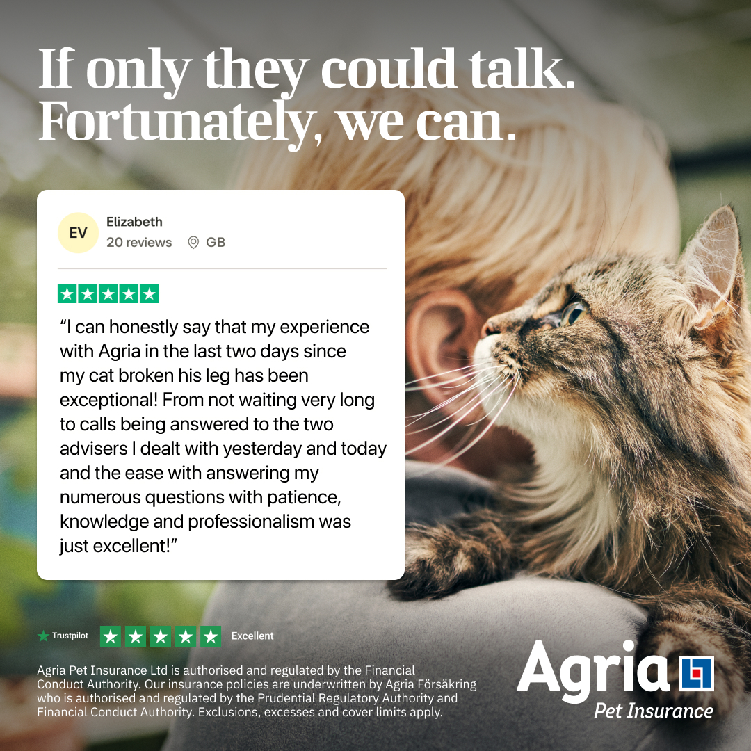 Agria Pet Insurance Facebook ad: Easy to set up, excellent cover. - Carol