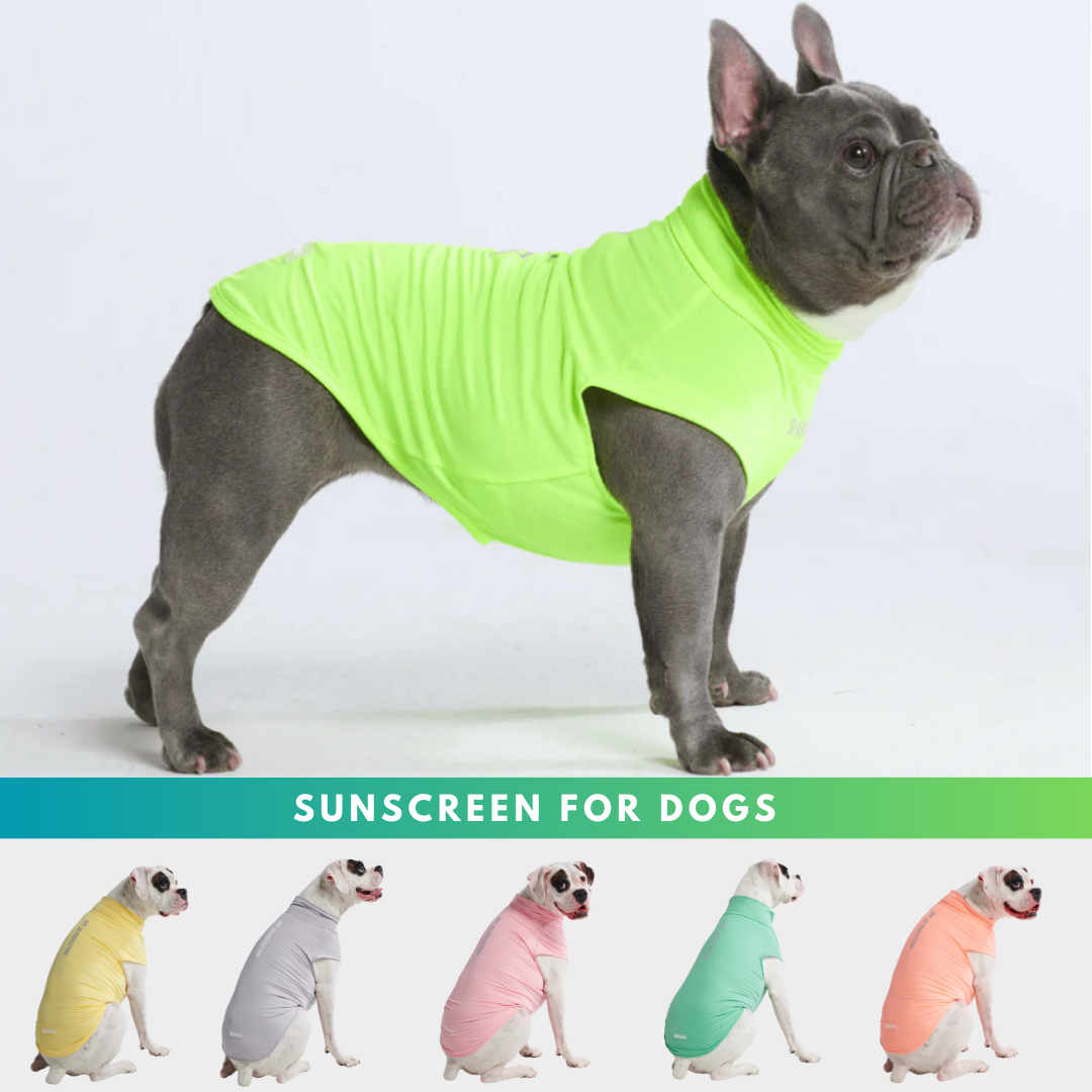 Spark Paws Facebook ad