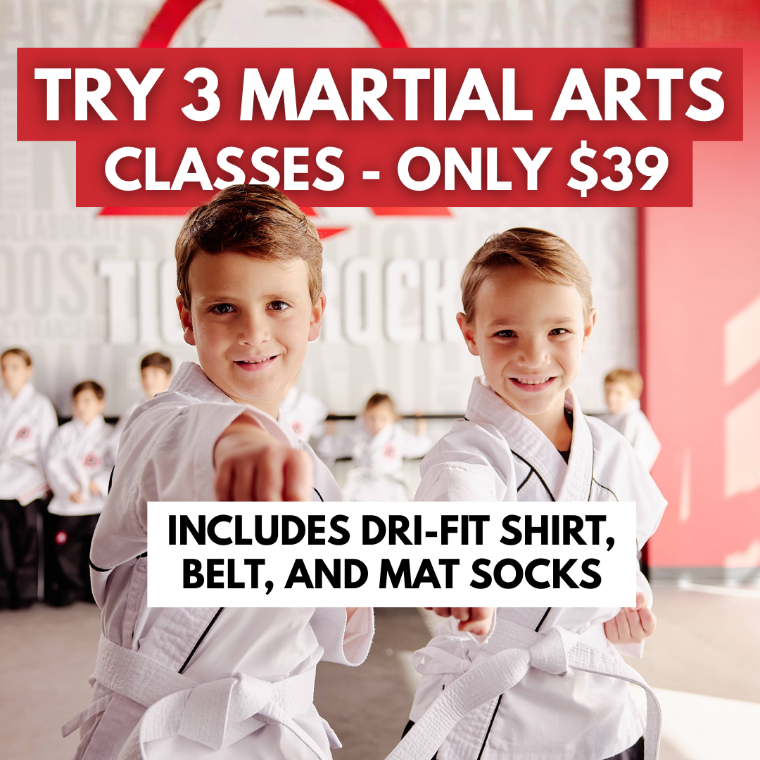 Tiger-Rock Martial Arts of South Austin Facebook ad: Try a Class. Build Confidence.