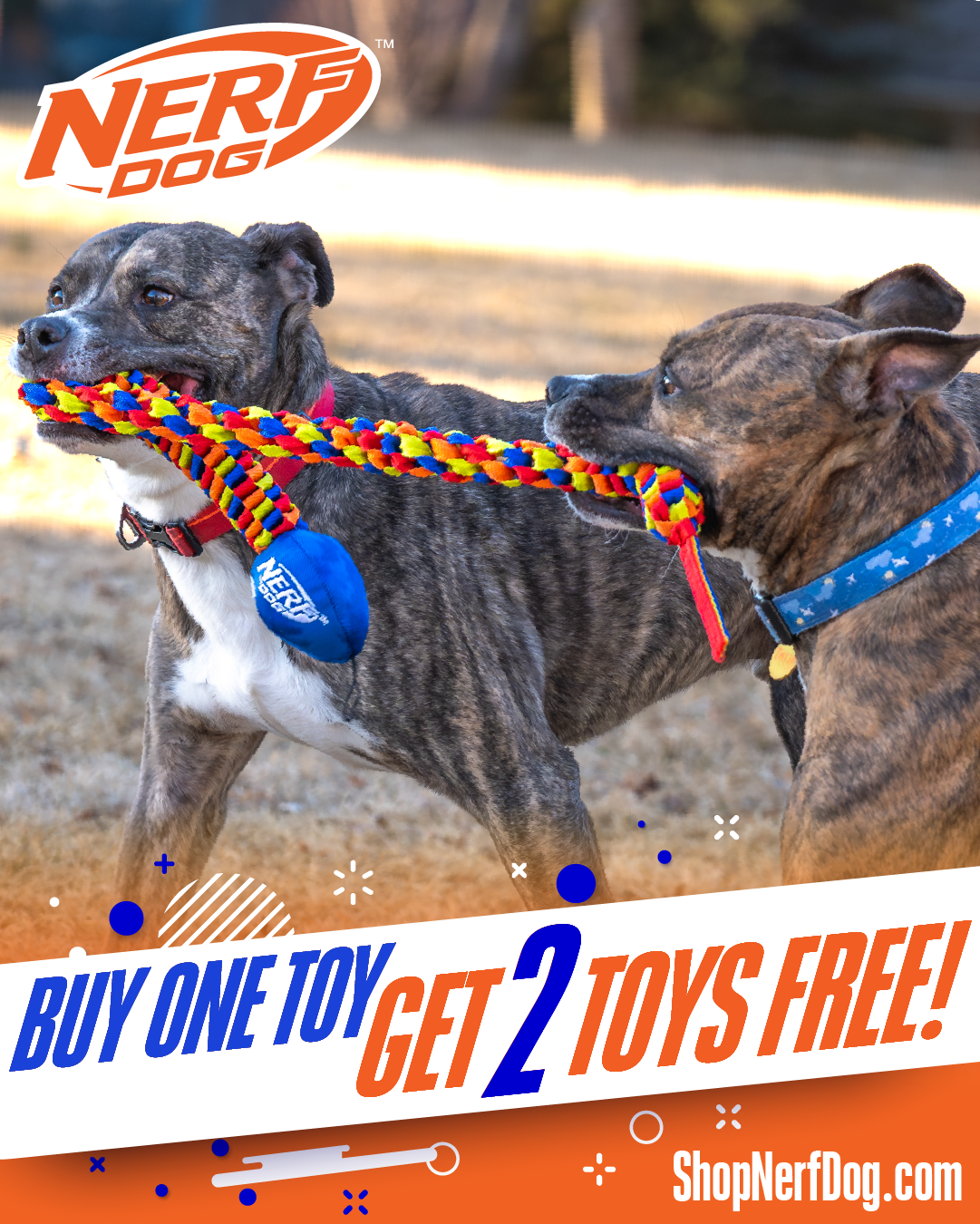 Nerf Dog Facebook ad: Stock Up & Save