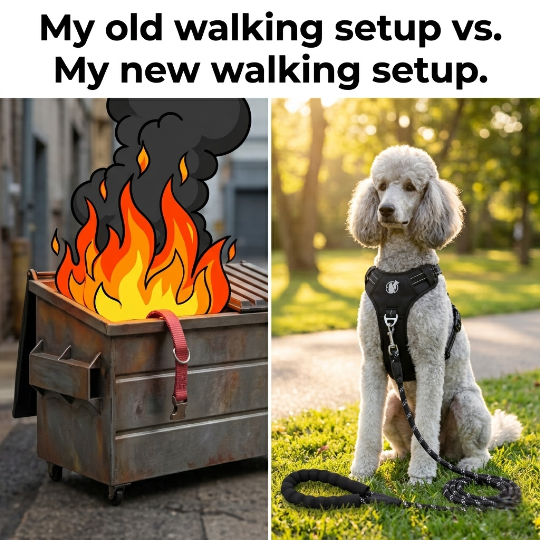 PawSafe Facebook ad