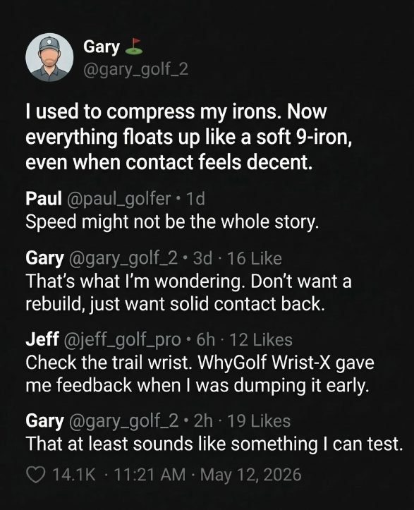WhyGolf Facebook ad