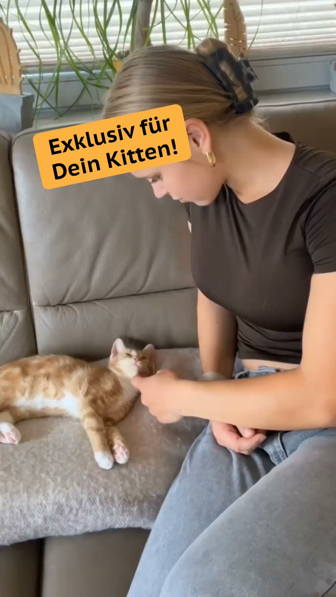 AGILA Haustierversicherung Facebook ad: Willkommenspaket für Dein Kitten
