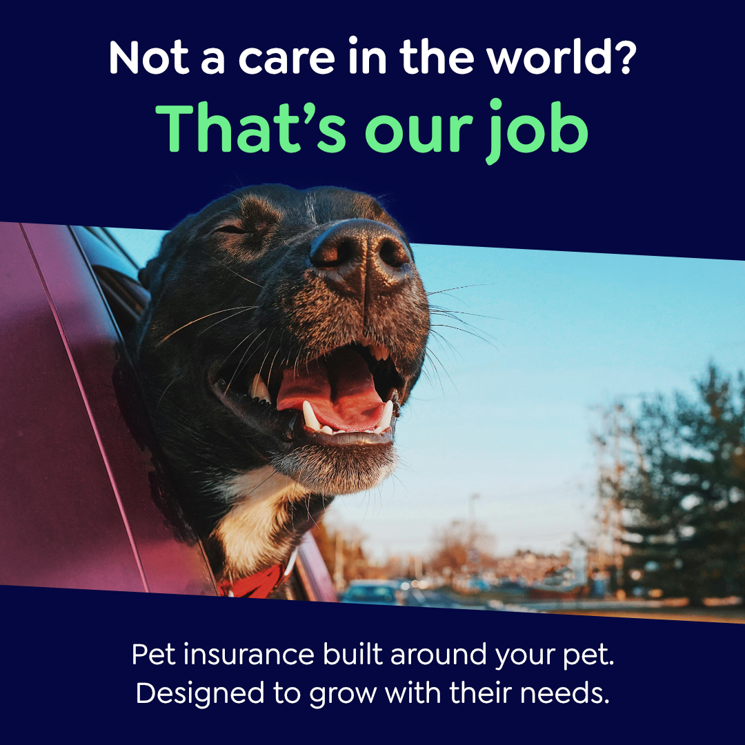 Petgevity UK Facebook ad: Lifetime Protection, for Less