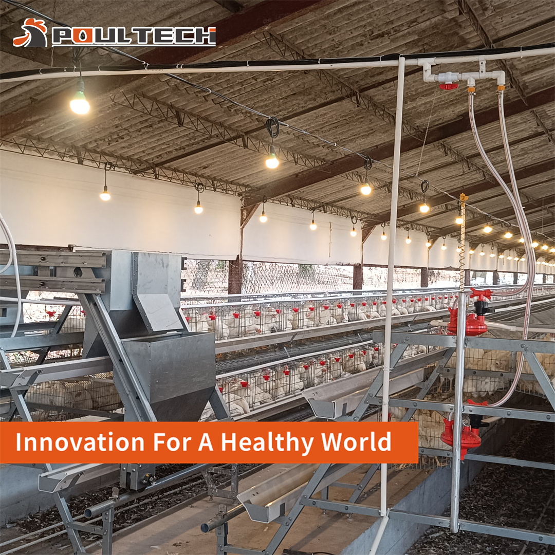 POUL TECH Poultry Equipment Facebook ad: 16000 Birds/House