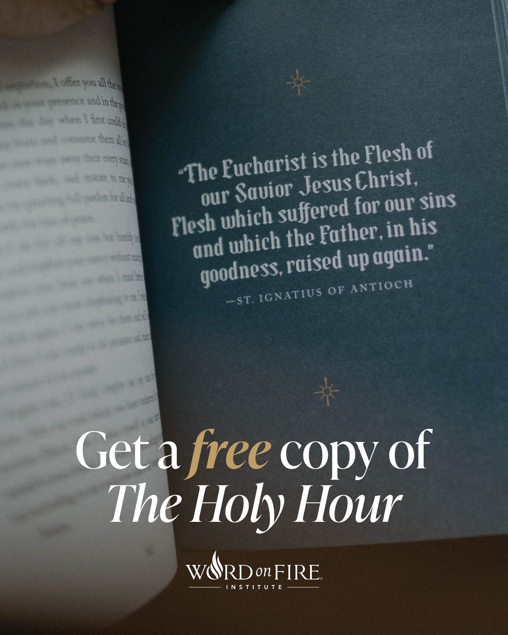 Bishop Robert Barron Facebook ad