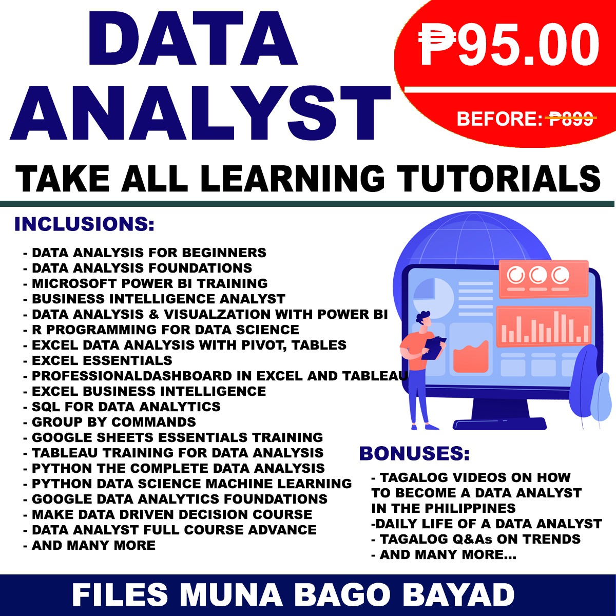 Data Analyst Resource Portal Facebook ad