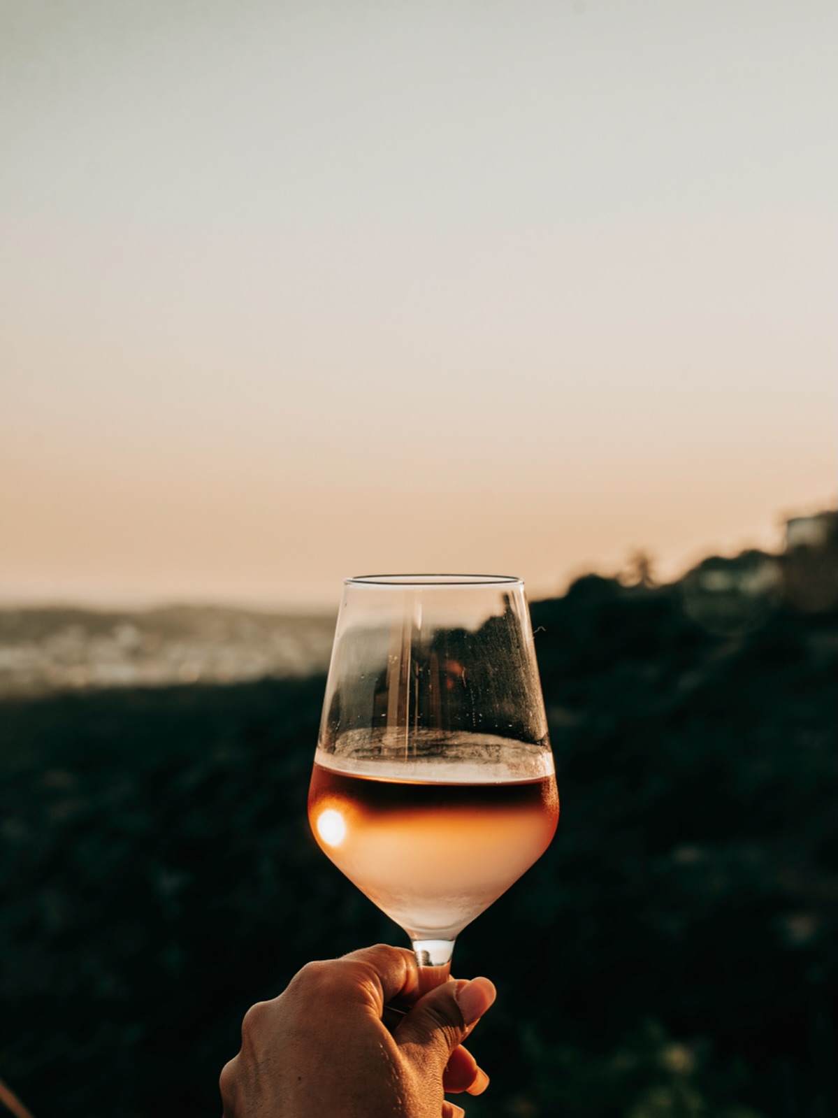 D’alena Restaurante Facebook ad: Descubra a nossa carta exclusiva de vinhos portugueses…