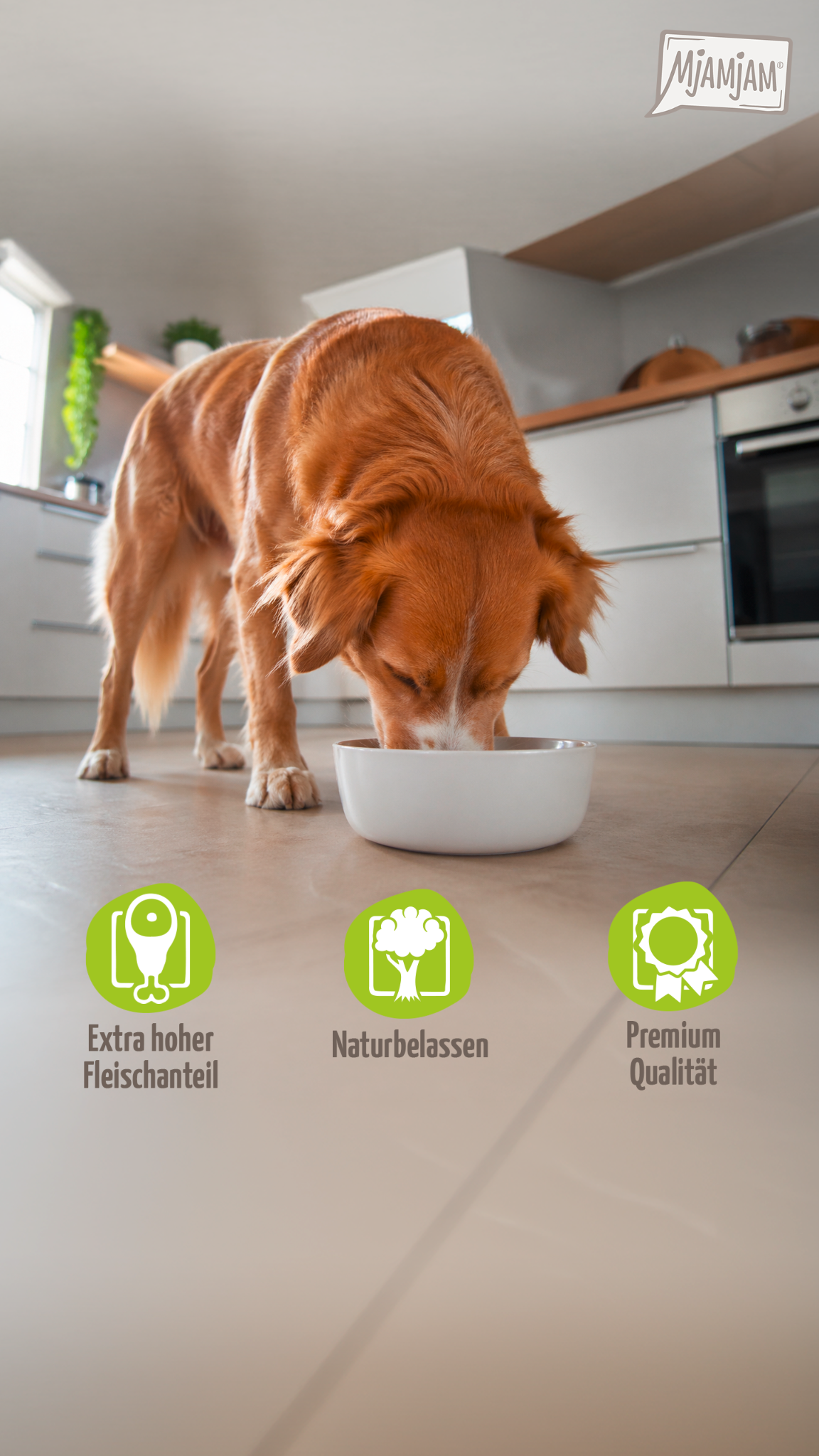 MjAMjAM Petfood Facebook ad: MjAMjAM Hundefutter