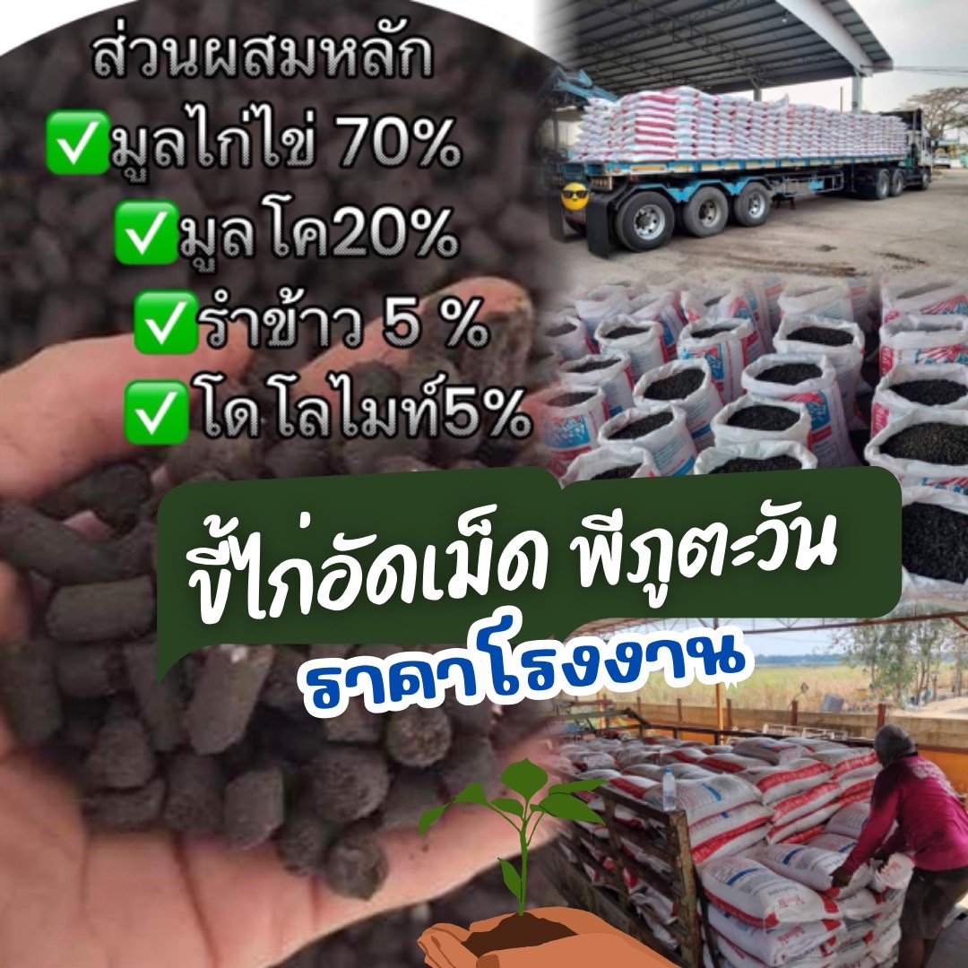 ปุ๋ยอินทรีย์ มูลไก่อัดเม็ด Facebook ad