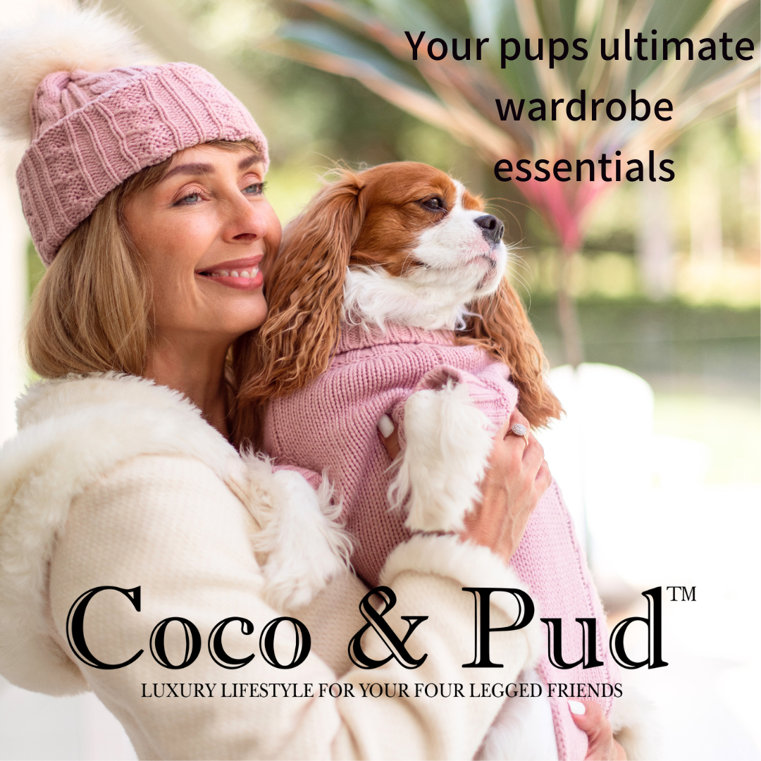 Coco and Pud Facebook ad