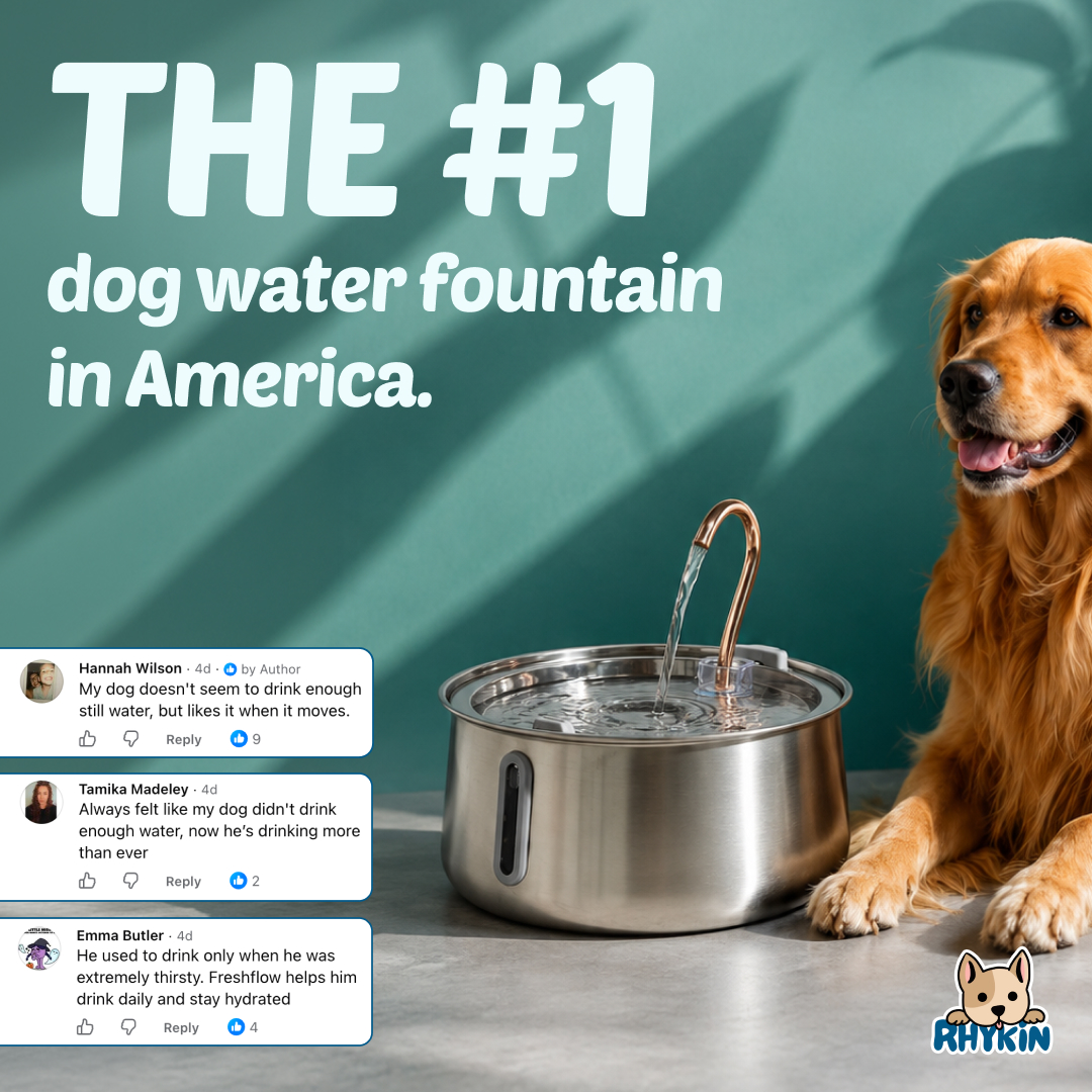 Rhykin Pet Co Facebook ad