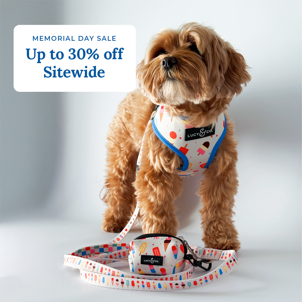 Lucy & Co. Facebook ad